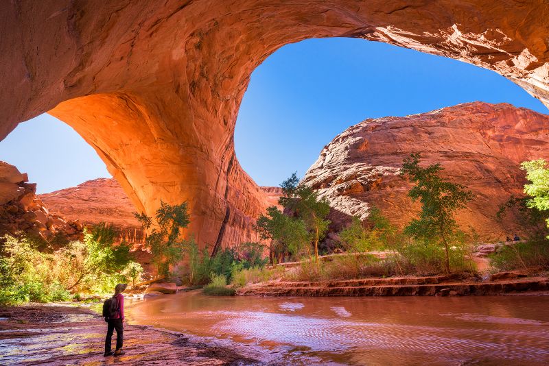 US nationwide parks are crowded – and so are many nationwide forests, wildlife refuges, battlefields and seashores