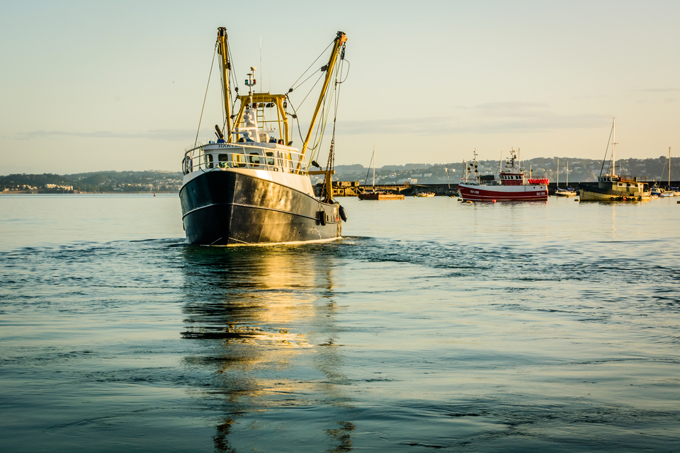 UK Authorities seizes post-Brexit freedoms for fishing business